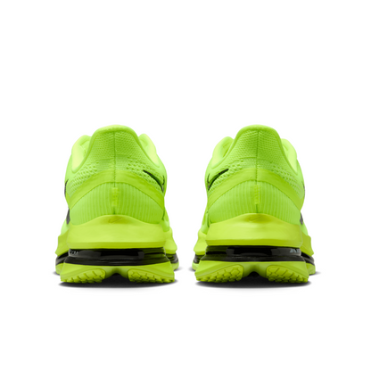 Pegasus Premium Men's :Volt | Black